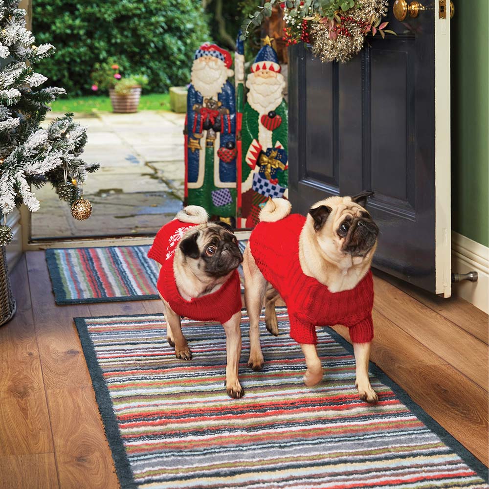 Stripe 32 Multi Washable Doormat - Image 3