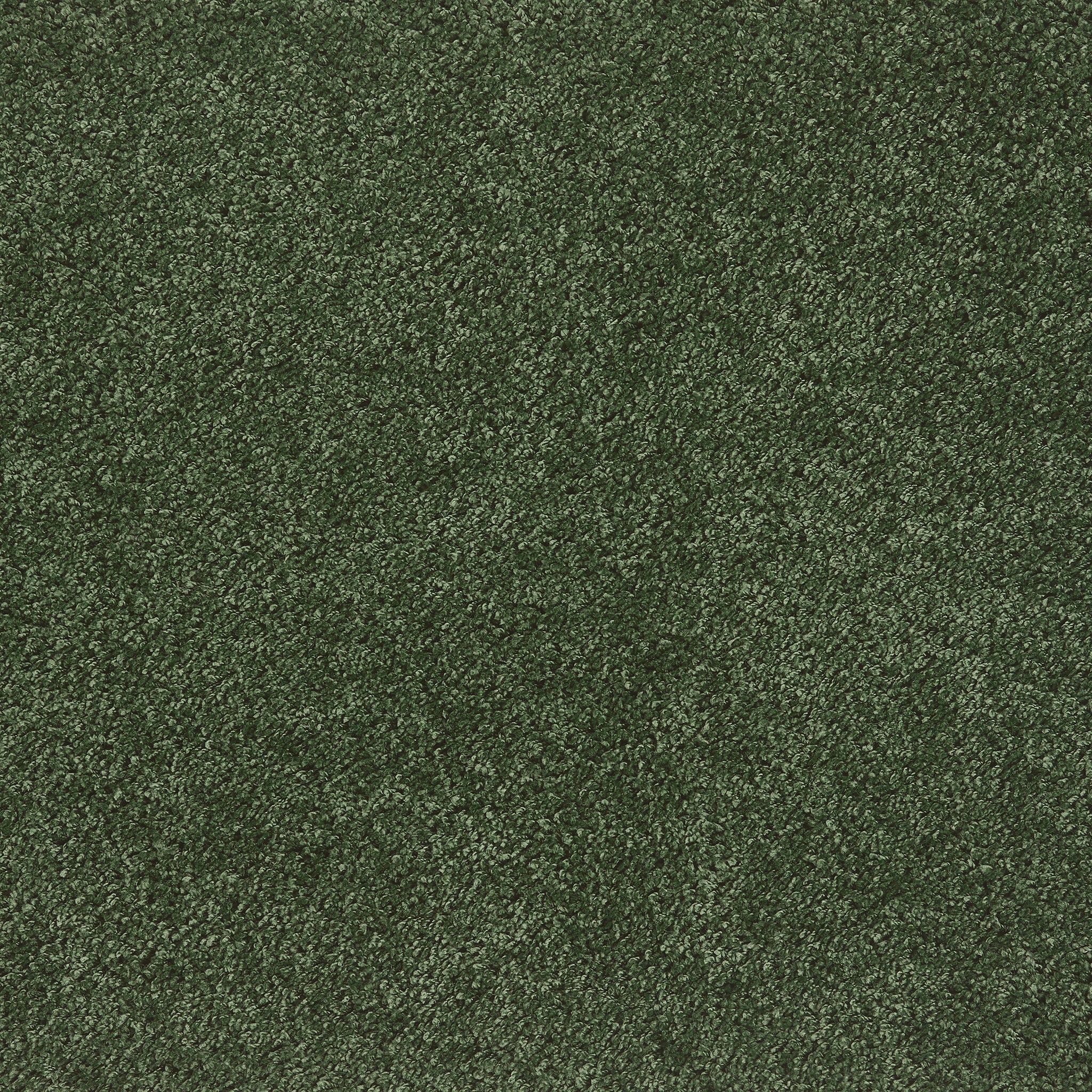My Rug - Forest Green Rug - Image 6