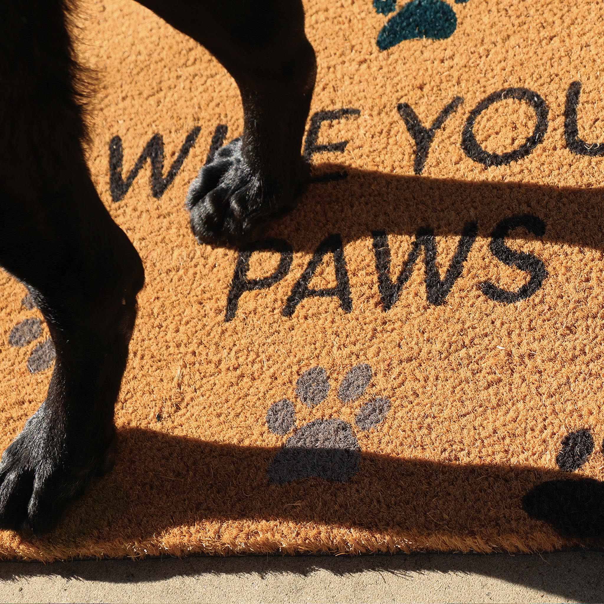 Printed Coir Wipe Your Paws Doormat - Image 4