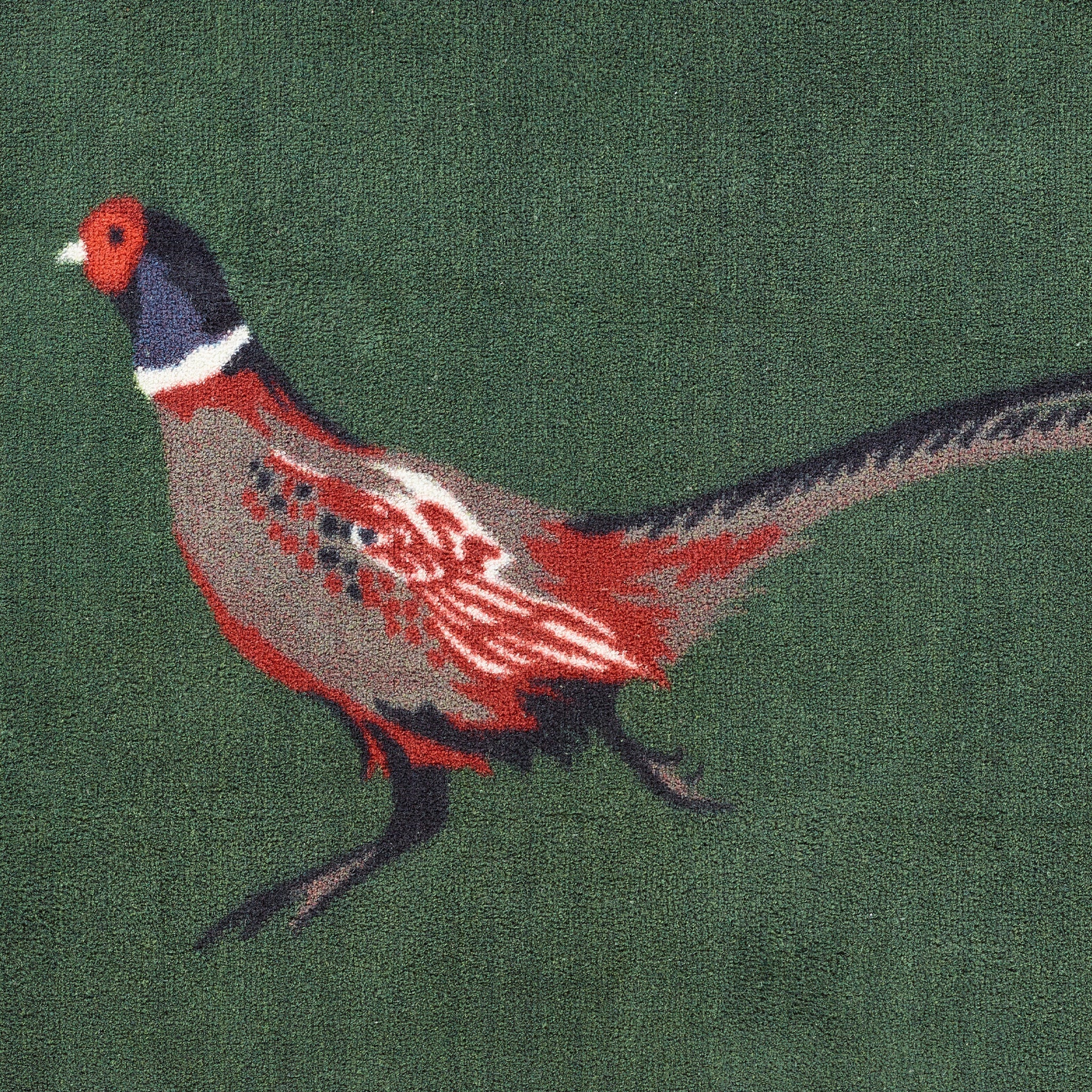 Pheasant Green 2 Washable Doormat - Image 4